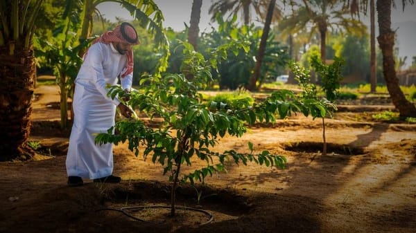 Saudi Arabia unveils program for 4th Saudi Green Initiative Forum