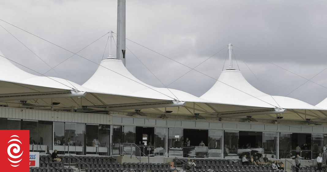 Cameras stolen from Hagley Oval during cricket test