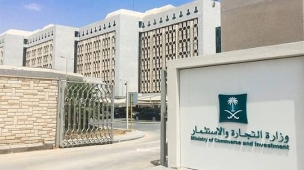 Saudi citizen and Egyptian national penalized for commercial cover-up