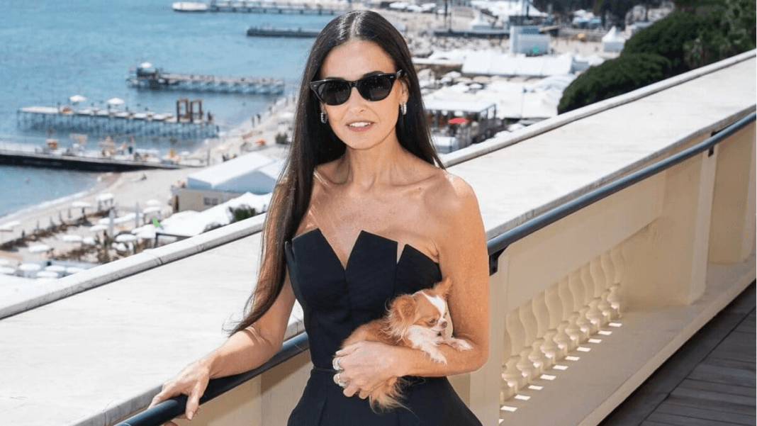 Latest Entertainment News Live Updates Today (December 2, 2024): Demi Moore On Why She Thought Her 1990 Blockbuster Ghost Would Be A 'Disaster'