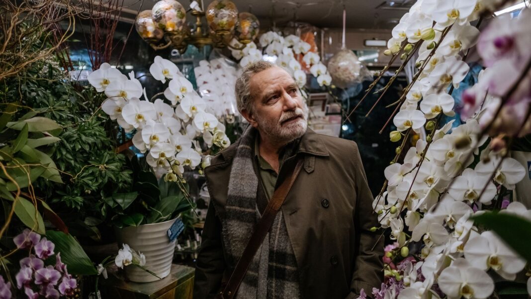 Critique : Touch - Cineuropa