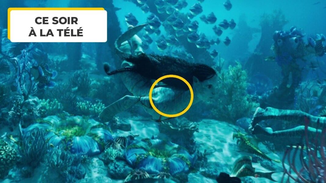 Avatar 2 : appuyez sur pause à 59 minutes et 11 secondes, la seule erreur visuelle du film se trouve ici - Actus Ciné