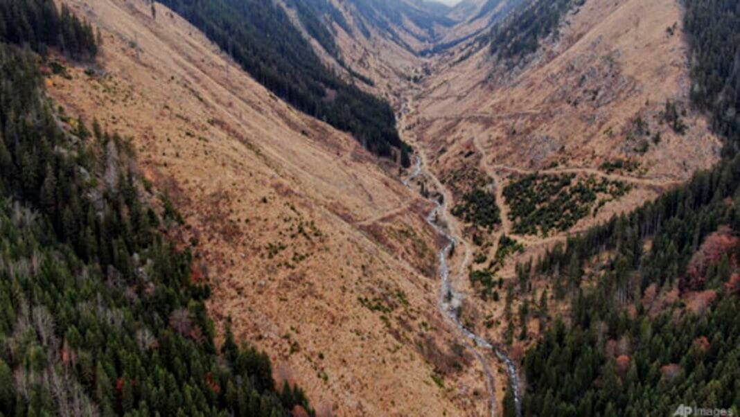 EU’s landmark anti-deforestation law on shaky ground after delay in implementation
