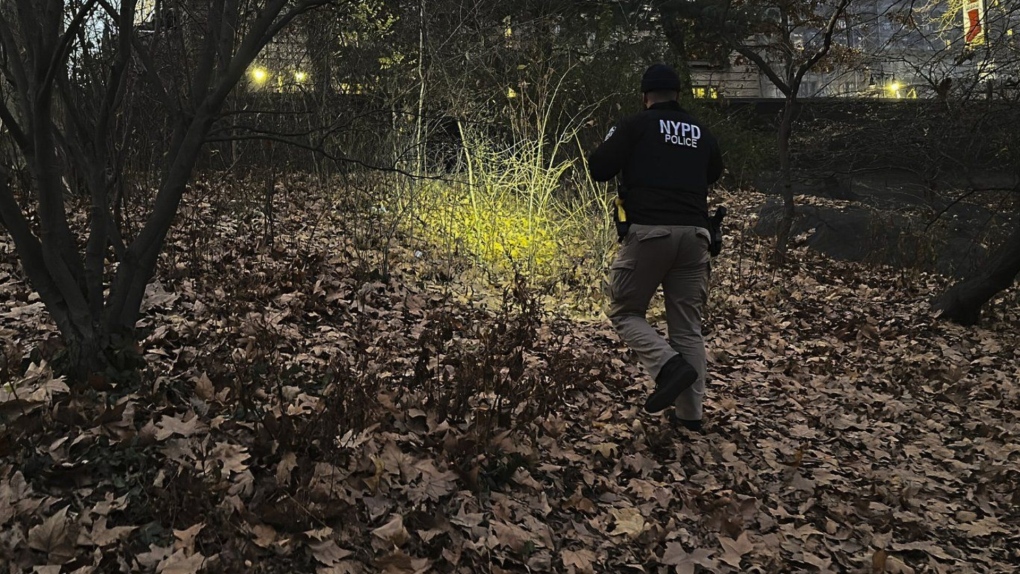 A New York City officer walks through brush and foliage in Central Park while searching for a backpack police believe was dropped by the person suspected of killing UnitedHealthcare CEO Brian Thompson. (AP Photo/Ted Shaffrey)