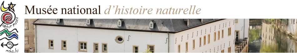 Musée national d'histoire naturelle » Researchers’ Days 2024