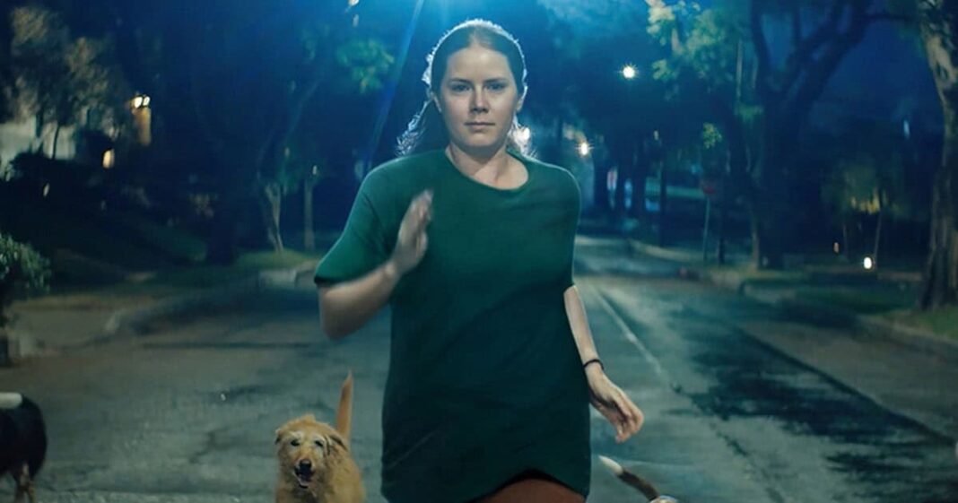Amy Adams stars in cute comedy