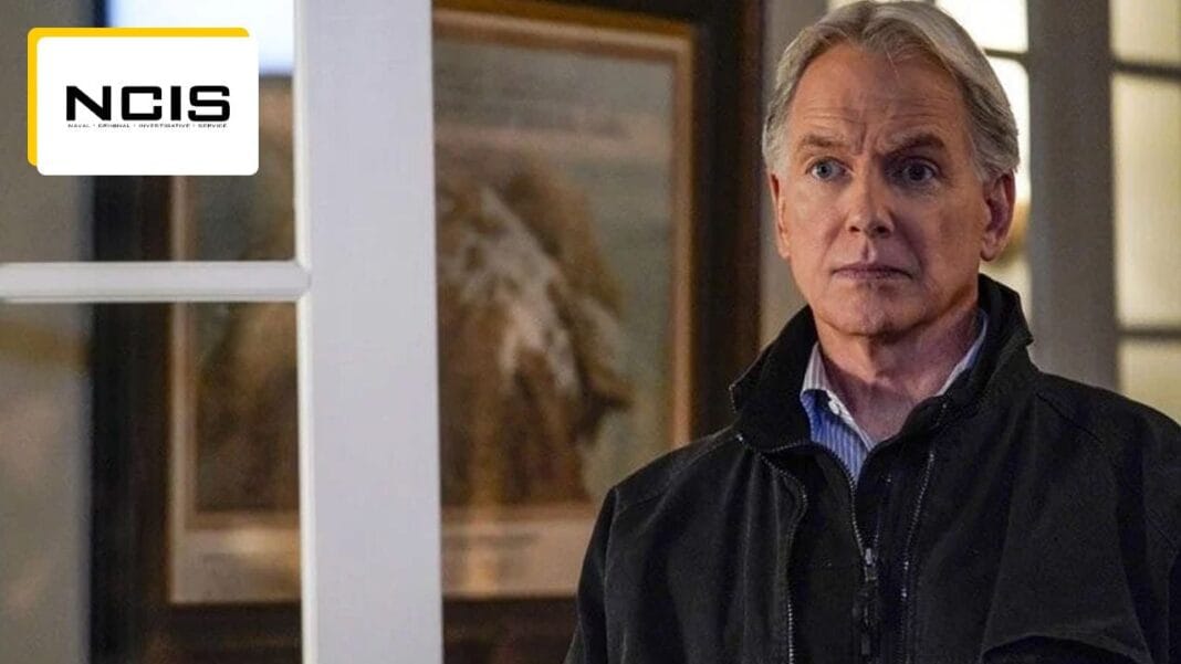 NCIS : 21 ans après, Mark Harmon (Gibbs) explique enfin pourquoi il a rejoint la série - News Séries à la TV