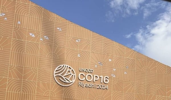 COP16 to begin in Saudi Arabia as world seeks solutions to land degradation, desertification, and drought