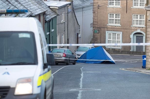 Man arrested in connection with murder of little eight year-old girl in New Ross, Wexford