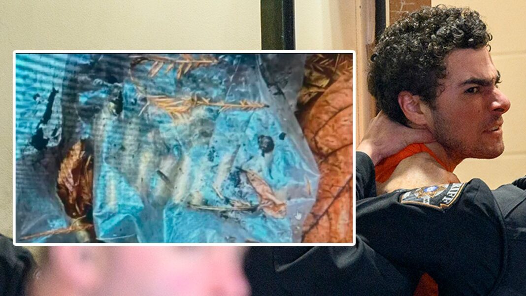 Bag of bullets found in NYC similar to 'deny,' 'defend' shells used in CEO killing