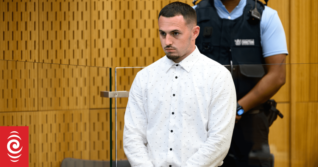 Man who murdered 62-year-old dog walker Nigel Wilson avoids life sentence