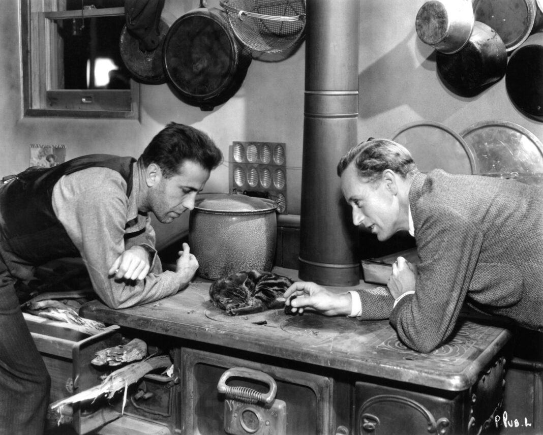 Bogart: Ein bewegtes Leben | Film-Rezensionen.de