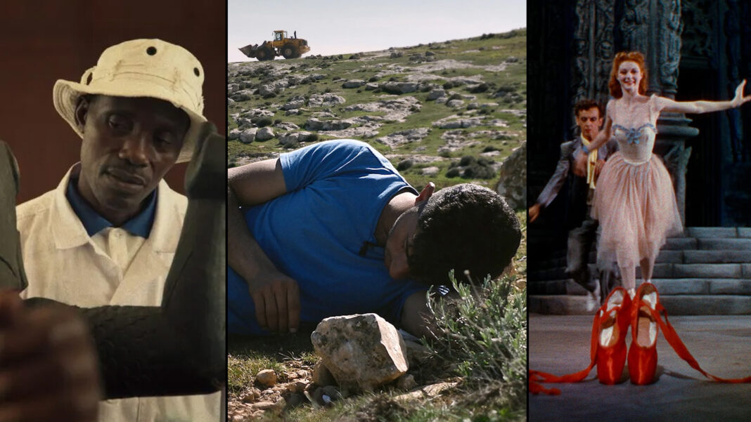 The Best Documentaries of 2024