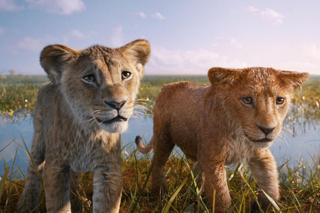 Barry Jenkins pose sa patte sur « Mufasa : Le Roi Lion »