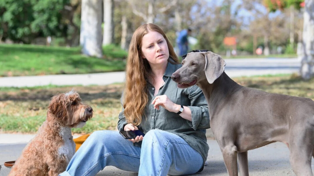 Amy Adams Turns Into A Dog In This Toothless Satire Of Motherhood