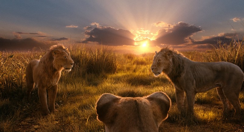 Mufasa: The Lion King - movie review -