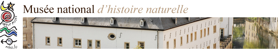 Musée national d'histoire naturelle » Konferenz – Luxemburgs Höhlen und ihre Fauna (07/01/2025)