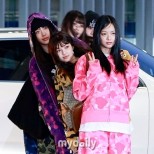 NewJeans' Stylish Arrival and Fan Engagement at the Asia Artist Awards - Discover Latest K-Pop News, K-Drama Updates, Profiles & More