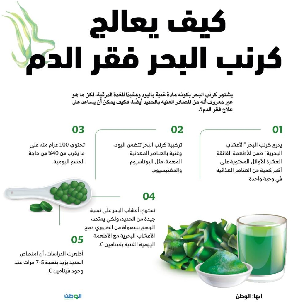 كيف يعالج كرنب البحر فقر الدم