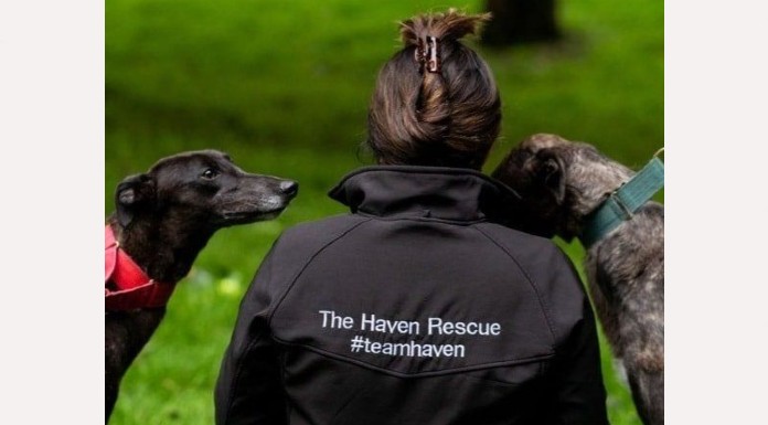 Local Animal Welfare groups already at capacity