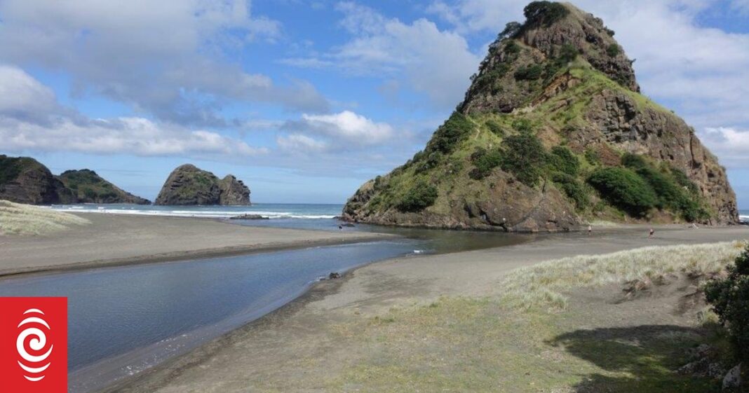 Person missing in water at Piha Beach