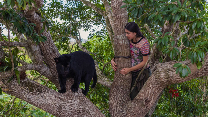 Autumn and the Black Jaguar