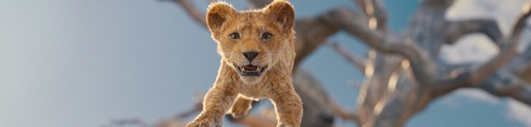 Mufasa: The Lion King - Filmdomein
