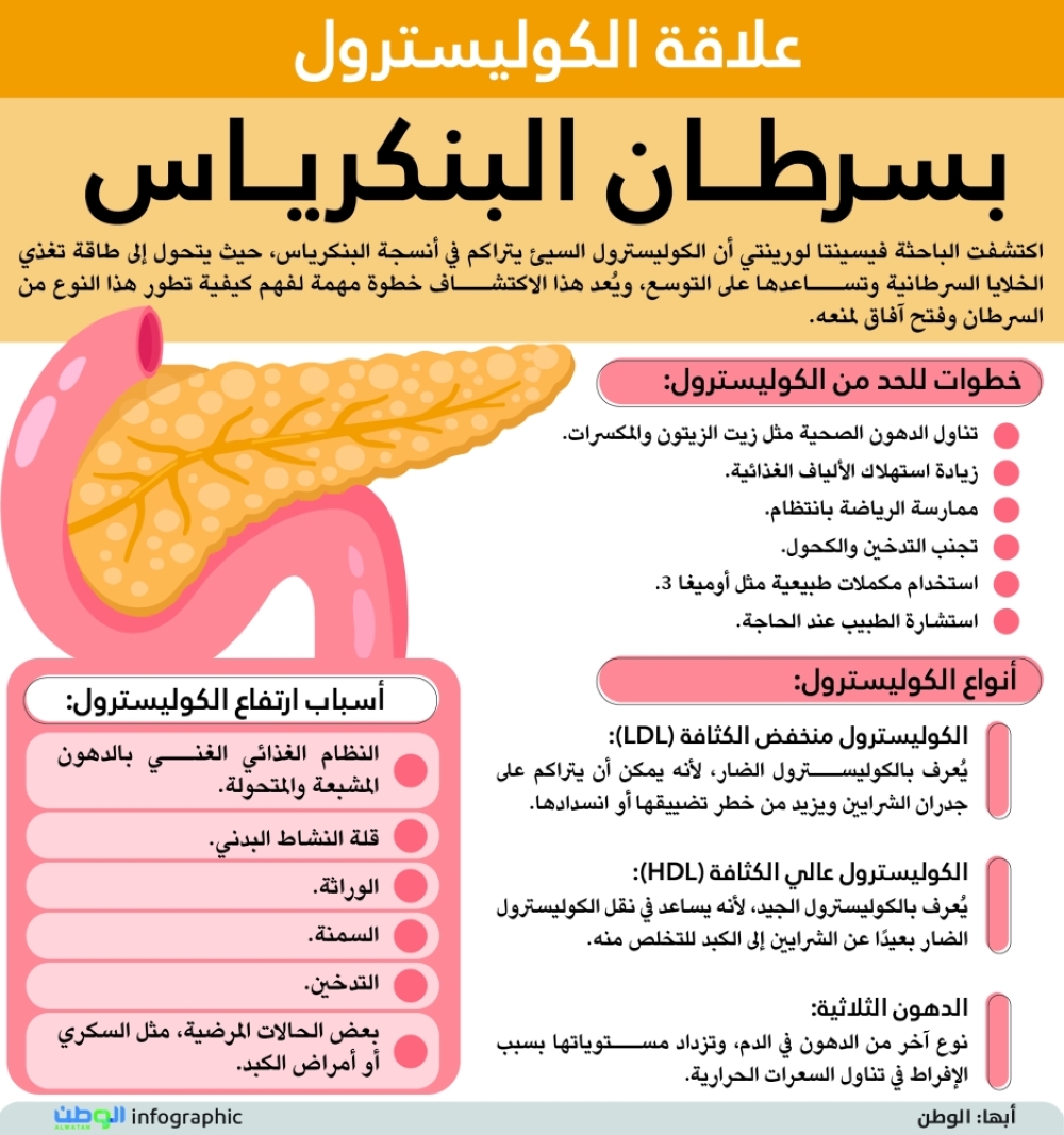 علاقة الكوليسترول بسرطان البنكرياس - جريدة الوطن السعودية