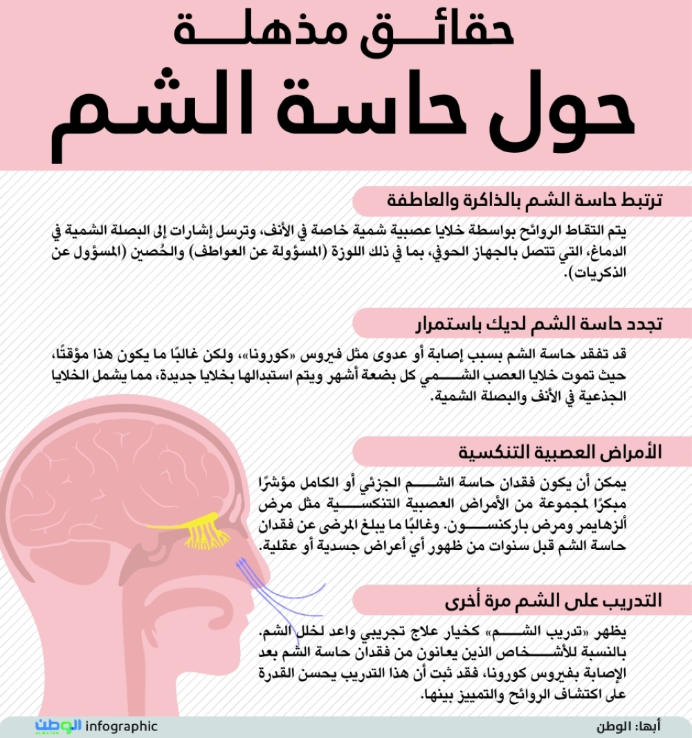 حقائق مذهلة حول حاسة الشم