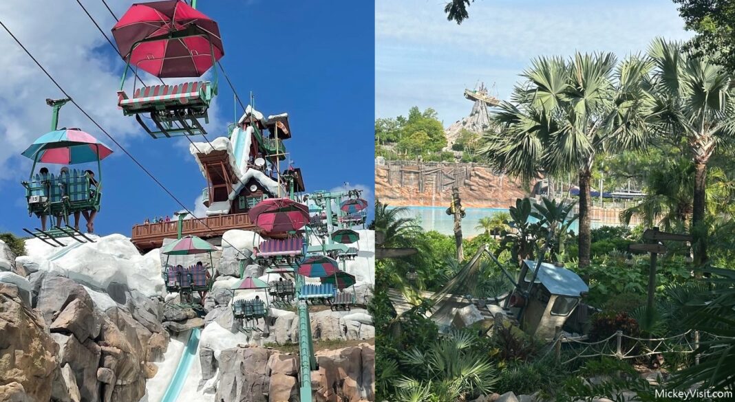 Why You Need to Visit the Walt Disney World Water Parks in 2025 - Mickey Visit