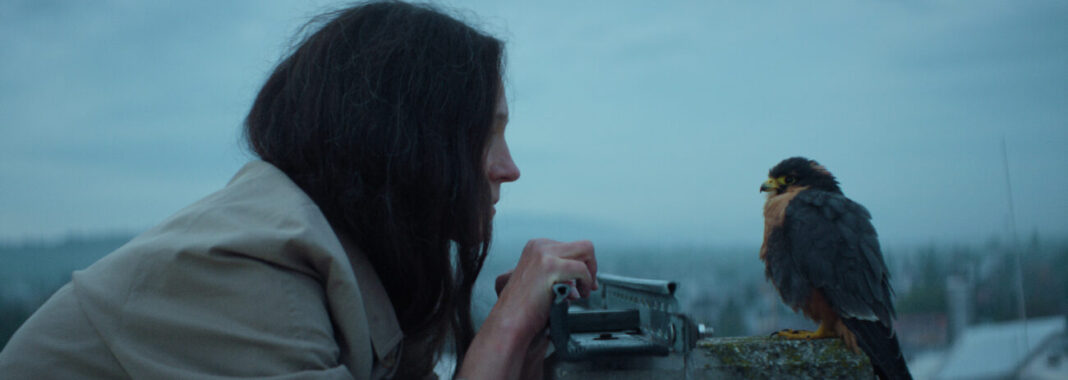 Chaos und Stille | Film-Rezensionen.de